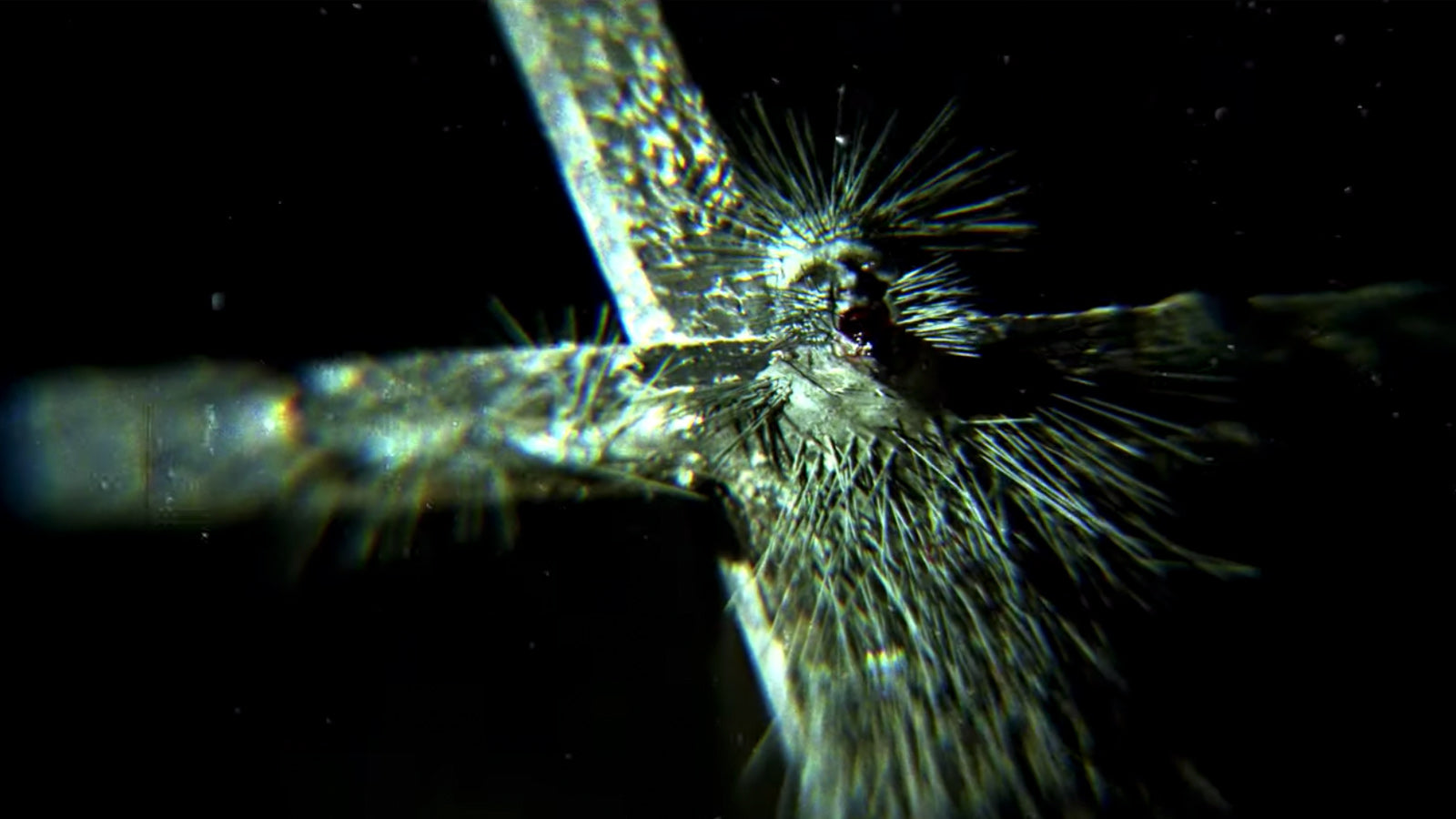 See Behemoth Reimagine Crucifixion in Profane New “Ecclesia Diabolica Catholica” Video