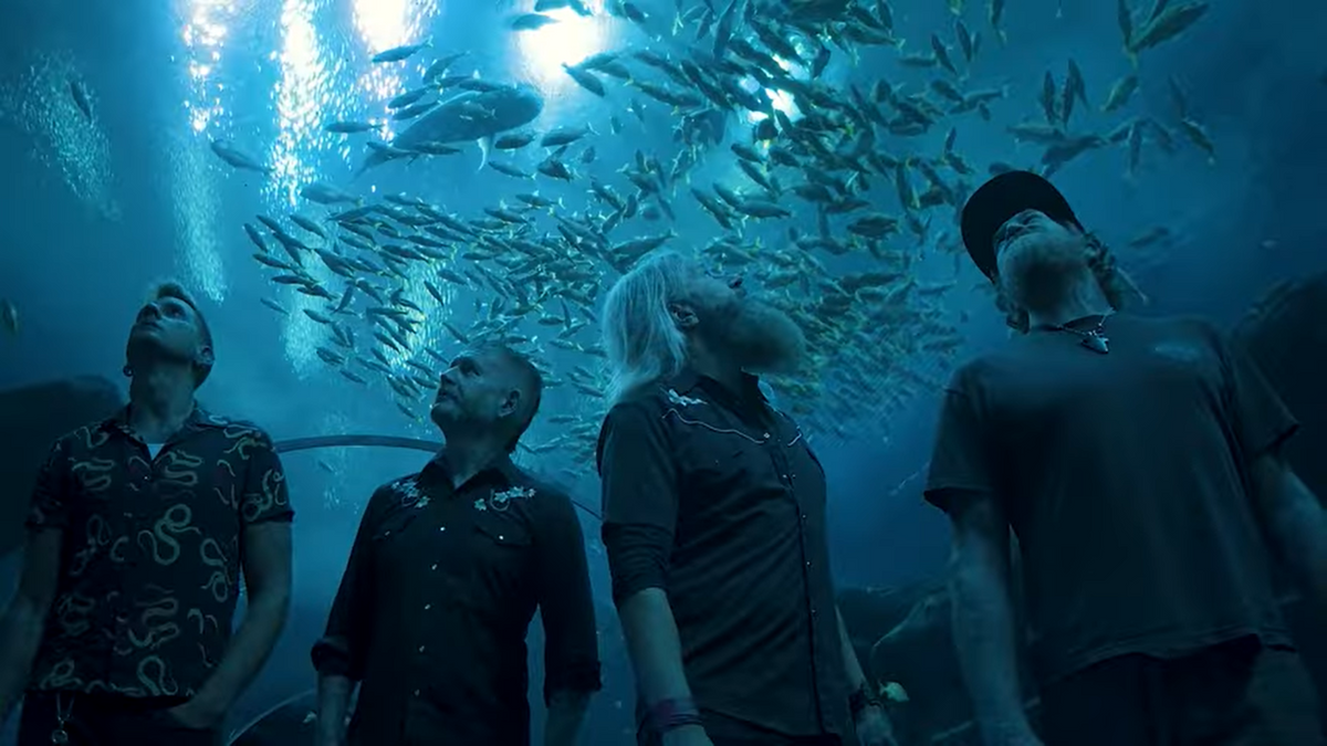 Mastodon Announce Unique Livestream Show at Georgia Aquarium