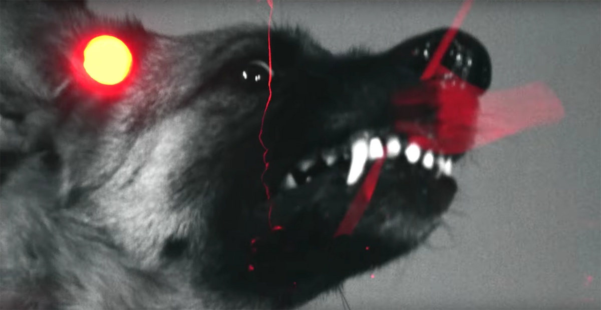 Hear Greyhaven Channel Every Time I Die on Punishing New Song “Ten Dogs — Red Heaven”