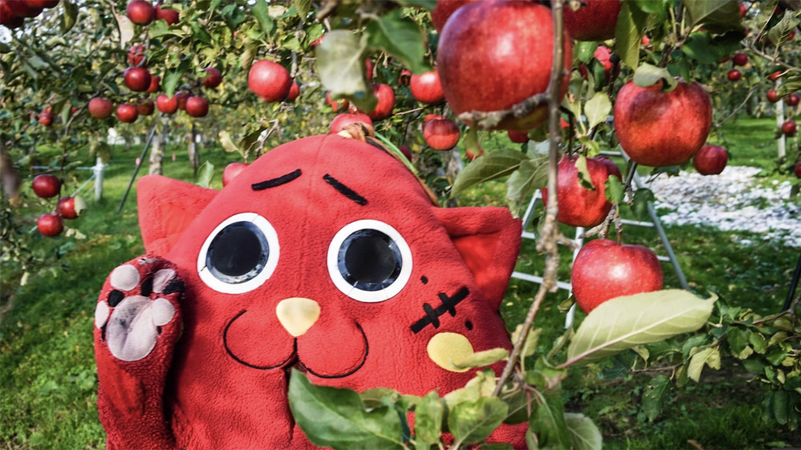 See Doc on Nyango Star: Heavy-Metal Cat Mascot Saving Japanese Farming Town