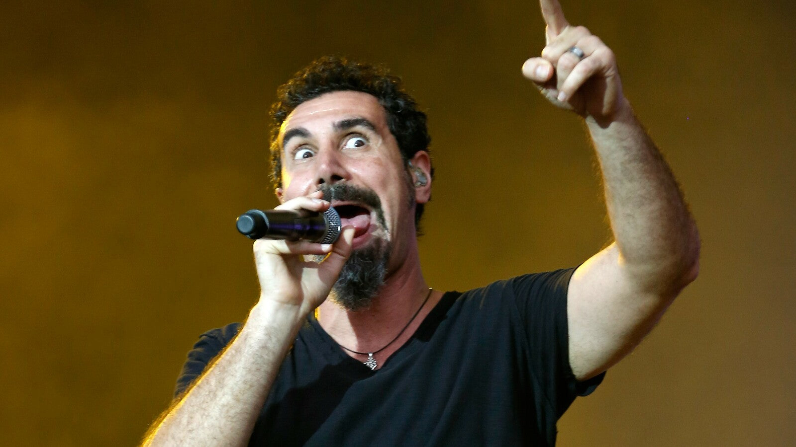 System of a Down Fans Won’t Stop Scaring Serj Tankian by Yelling “Wake Up!”