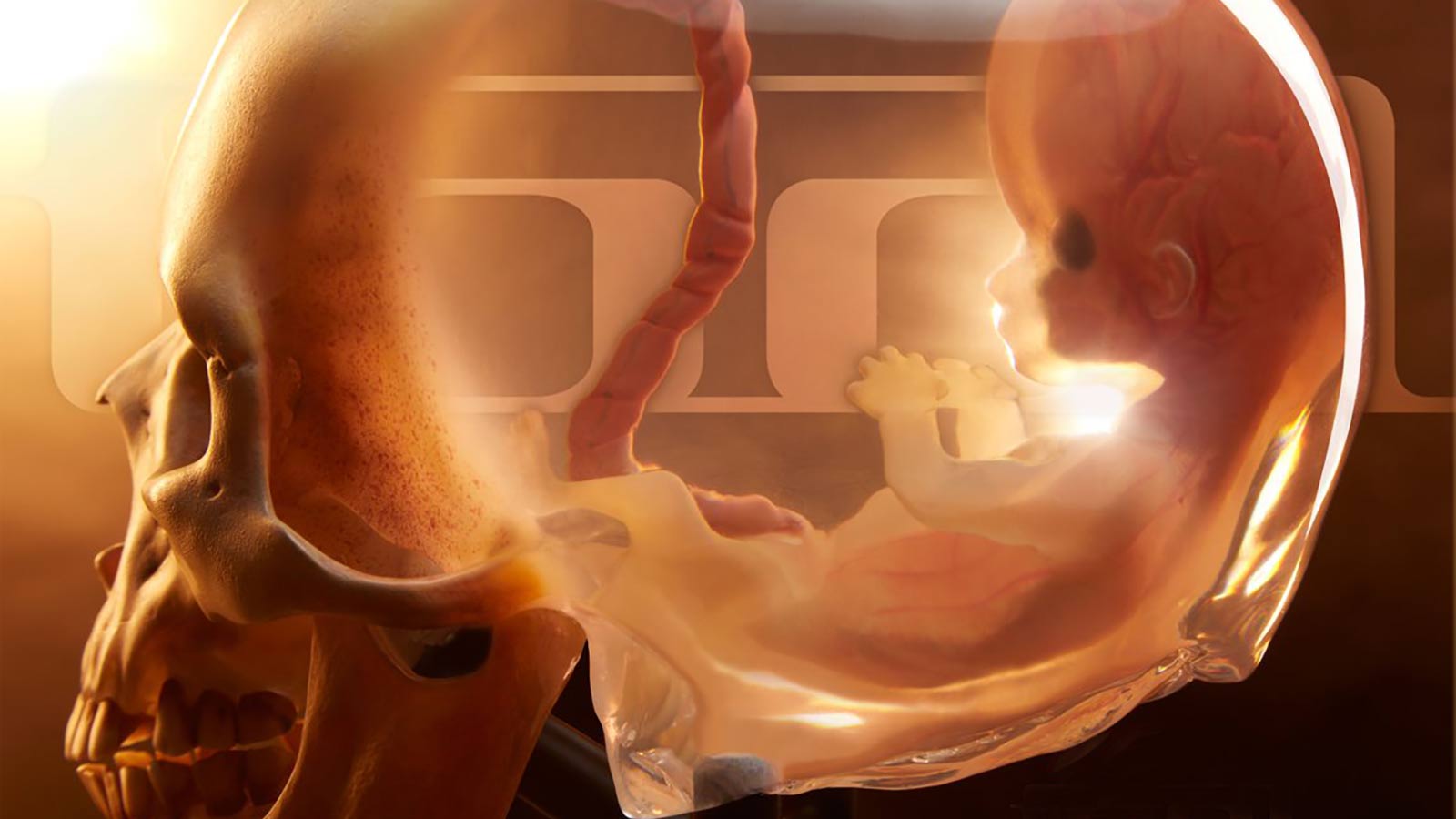 TOOL announce new life-sized edition of “Fetus in Skull” statue