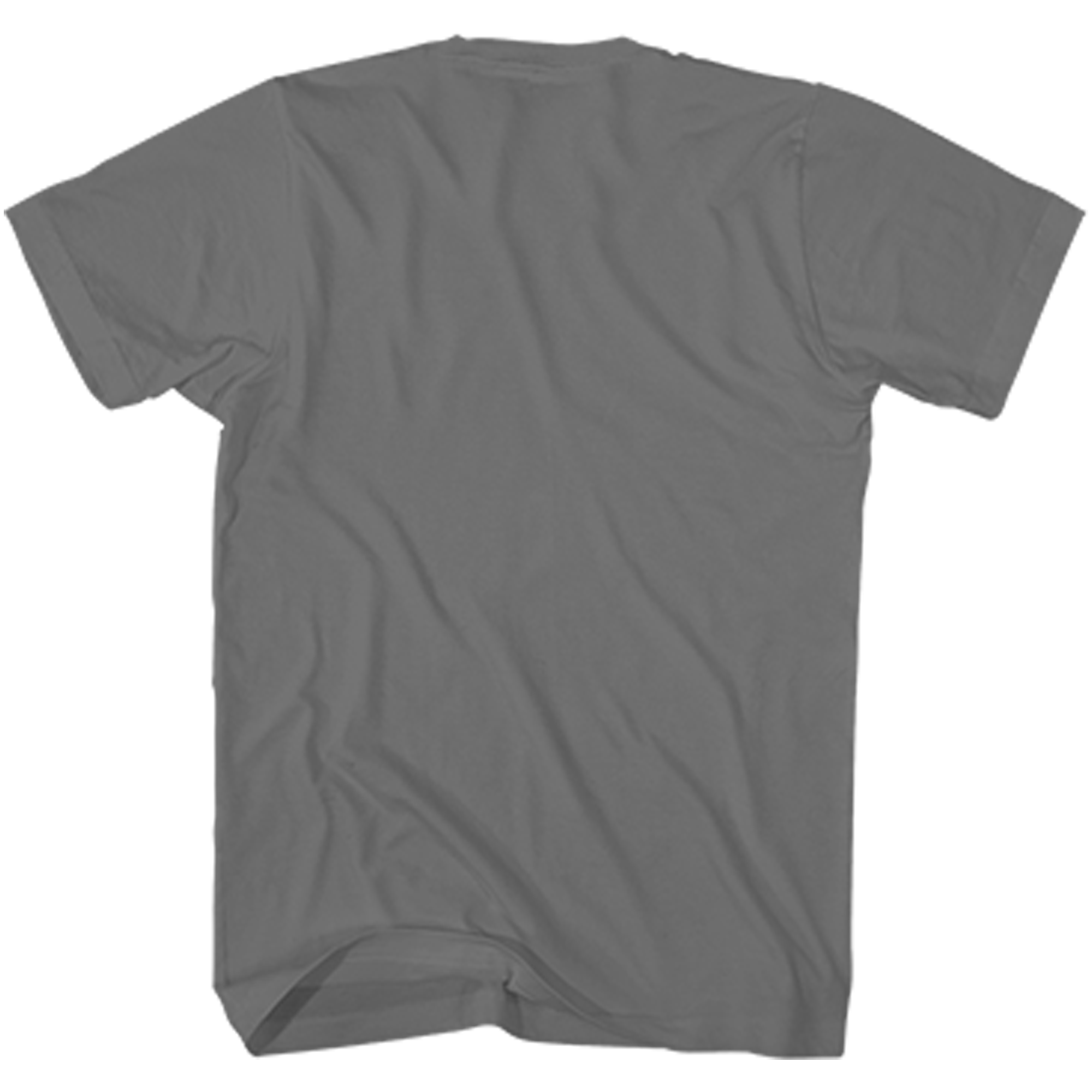 POST MALONE GRAY PHOTO F/SL T-SHIRT