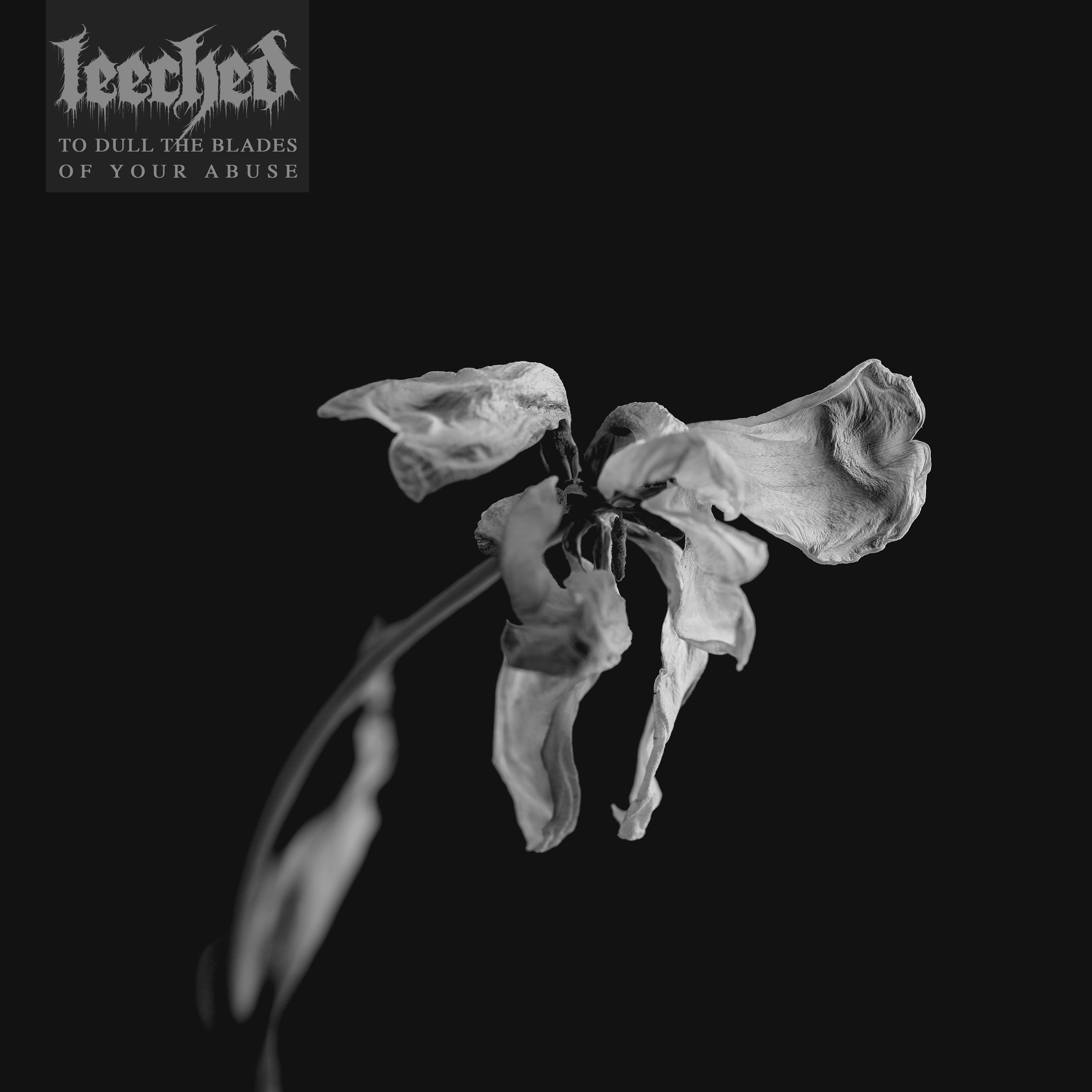 LEECHED 'TO DULL THE BLADES OF YOUR ABUSE' CD