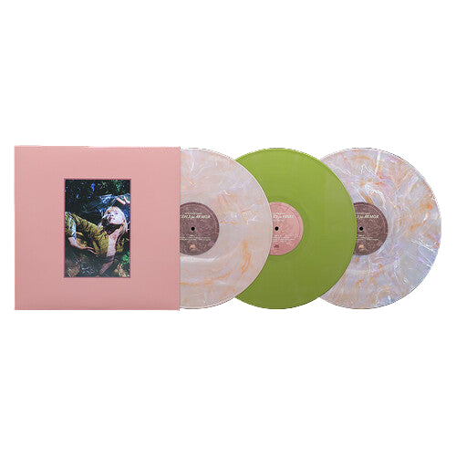 HAYLEY WILLIAMS 'FLOWERS FOR VASES + PETALS FOR ARMOR' DELUXE 3LP