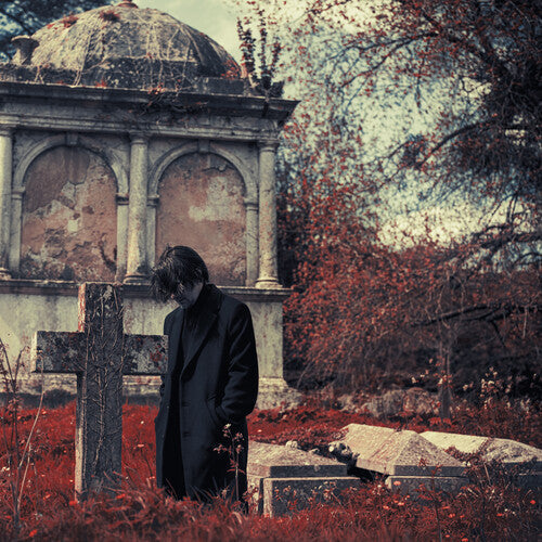 STEVEN WILSON 'REQUIEM FOR A VILLAGE' 2LP (Green Vinyl)