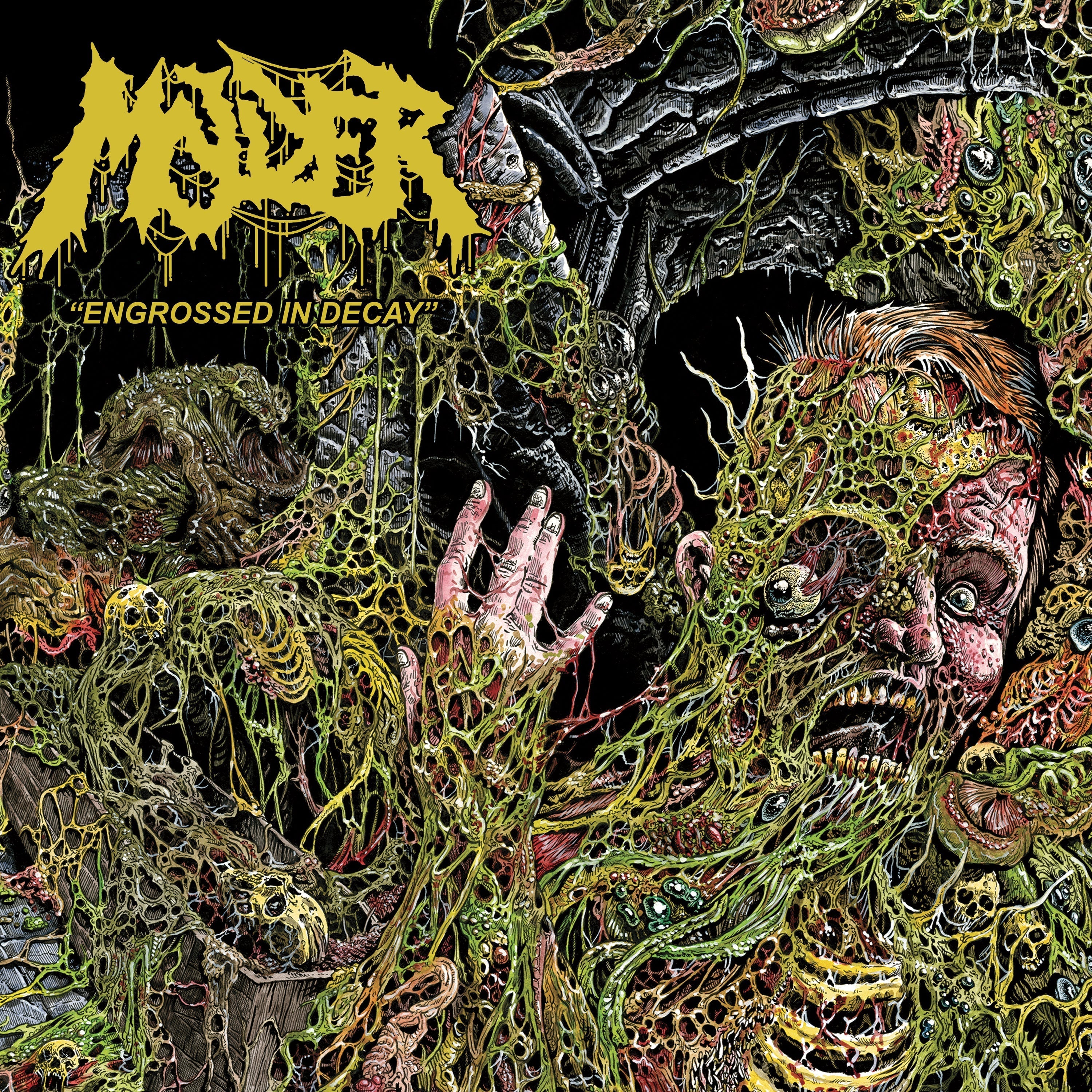 MOLDER 'ENGROSSED IN DECAY' CD