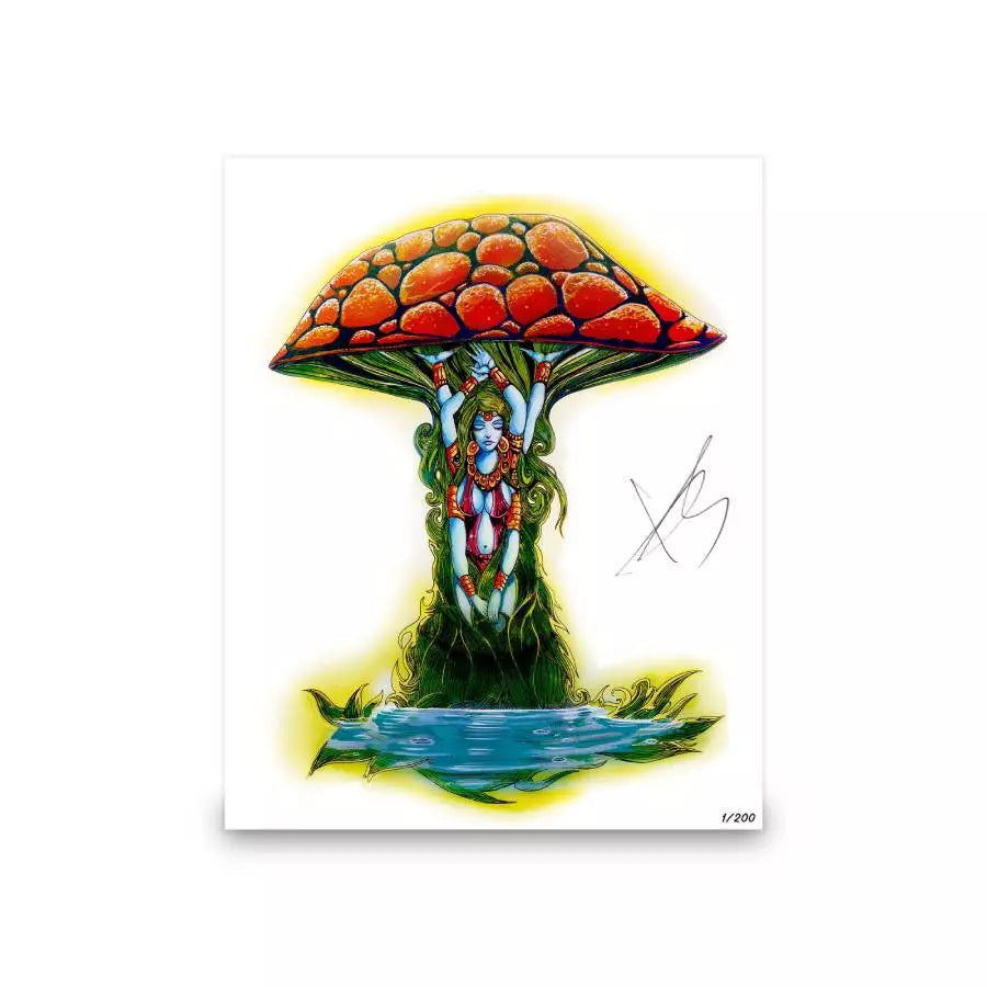 GOLDMINE MAGAZINE: DEC/JAN 2023 ISSUE ALT COVE FEATURING THE ALLMAN BROTHERS BAND - w/ HAND-NUMBERED SLIPCASE & HAND-SIGNED IOANNIS ART PRINT