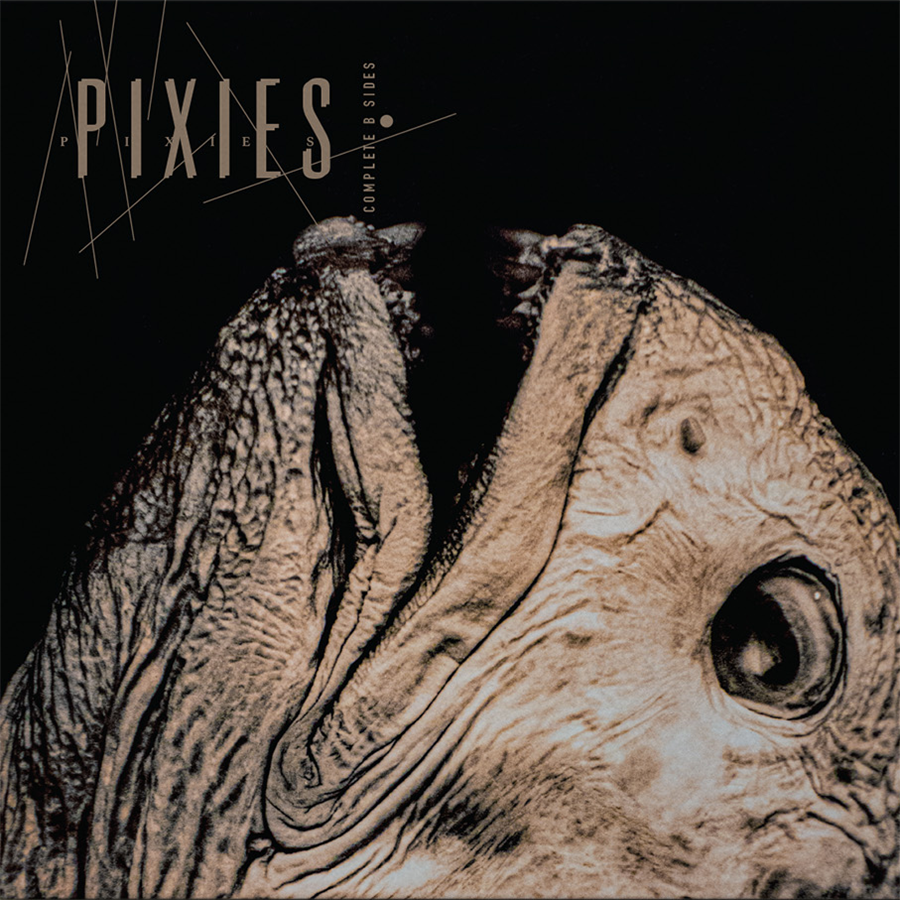 PIXIES 'COMPLETE B SIDES: 1988-97' CD