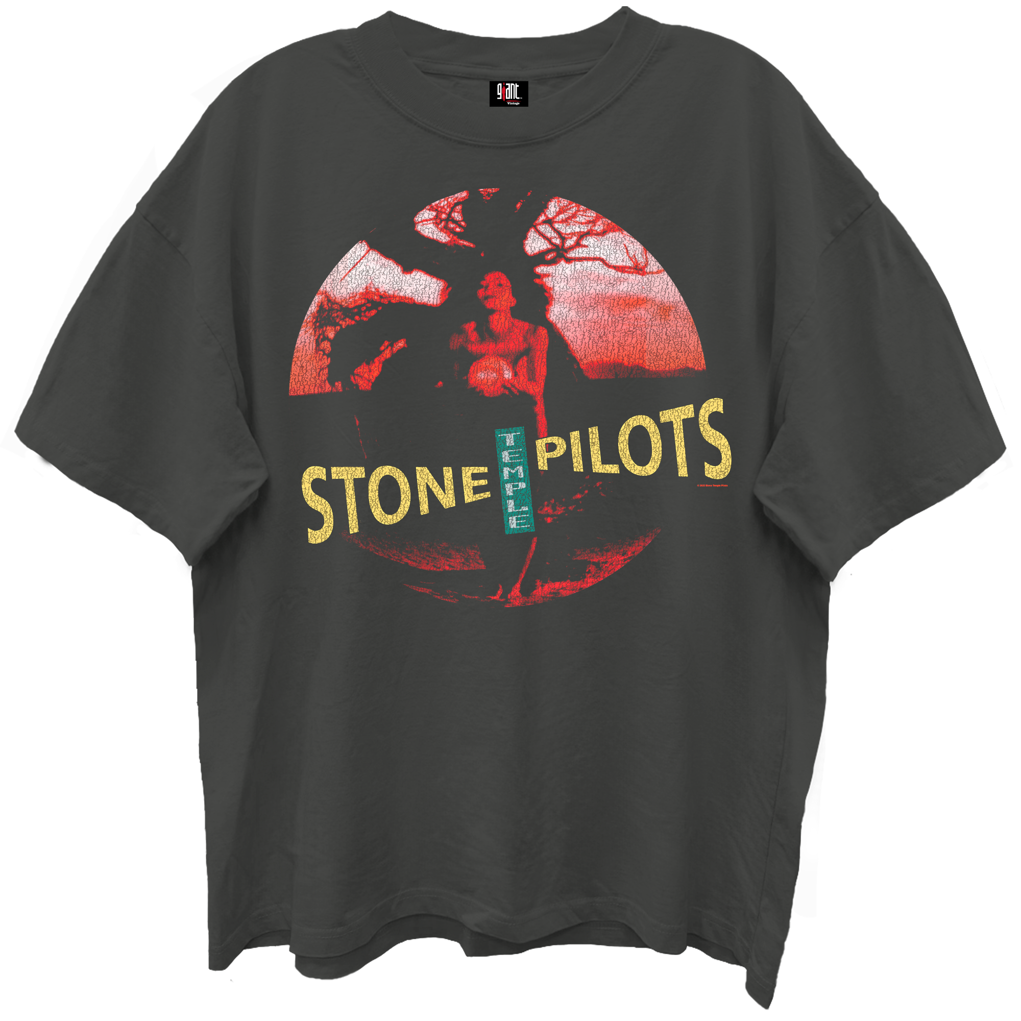 STONE TEMPLE PILOTS CORE ALBUM COVER VINTAGE BLACK ENZYME WASH T-SHIRT/GIANT VINTAGE T-SHIRT