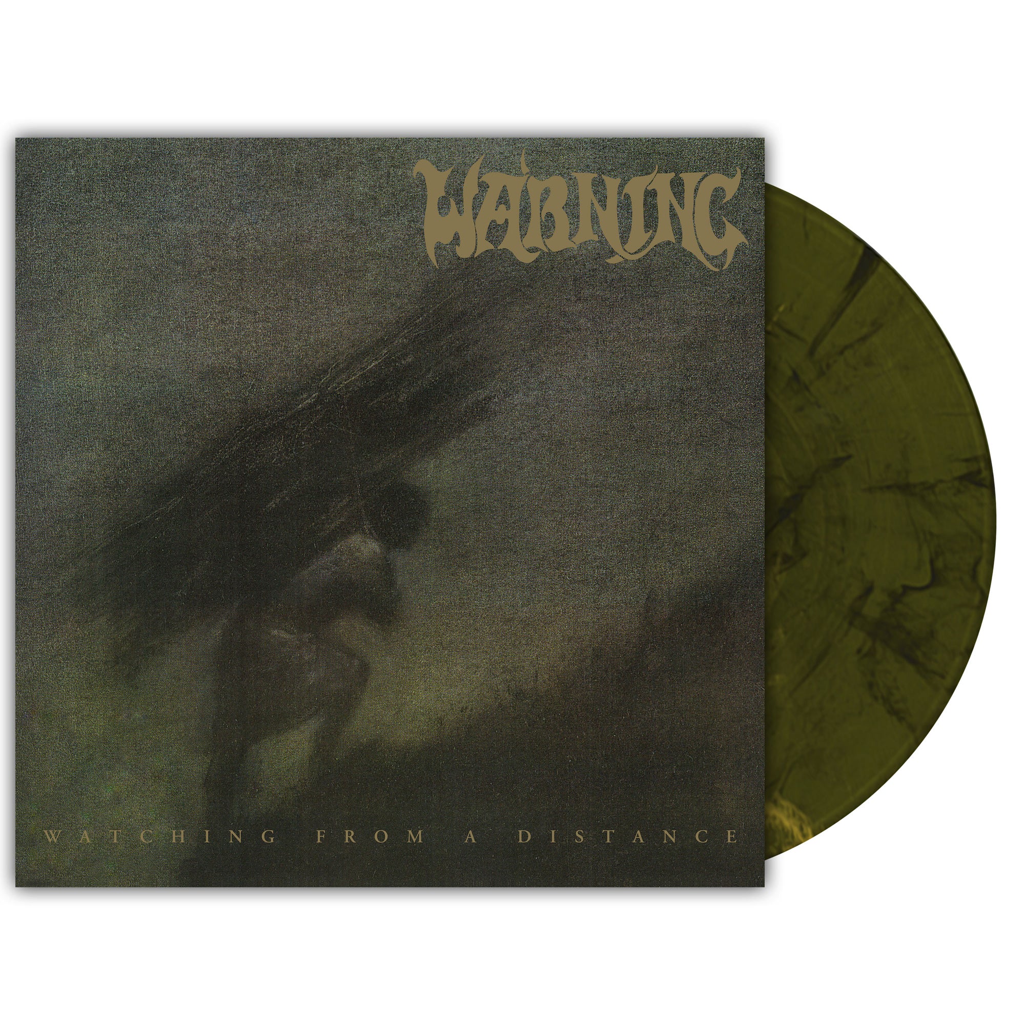 WARNING 'WATCHING FROM A DISTANCE' 2LP (20th Anniversary, Labradorite