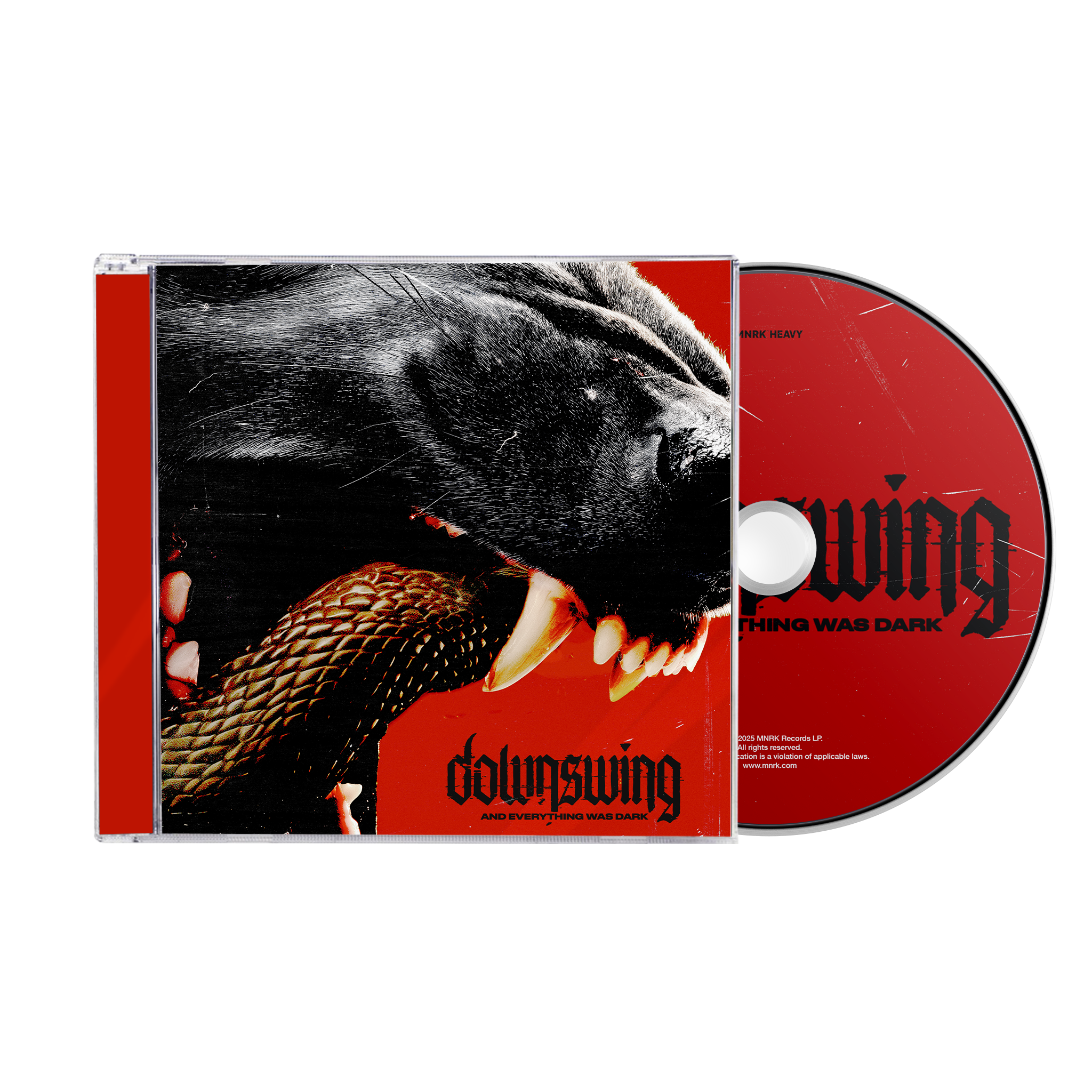 DOWNSWING 'AND EVERYTHING WAS DARK' CD