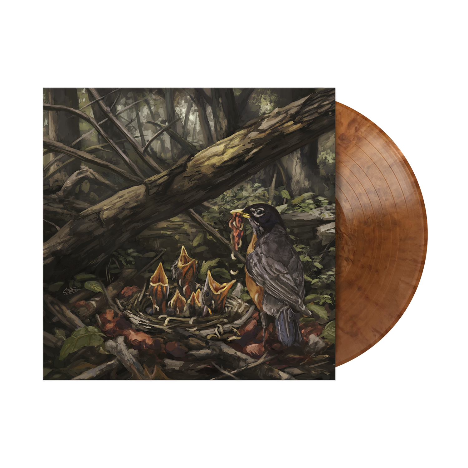 THE ACACIA STRAIN 'STEP INTO THE LIGHT ' LP (Limited Edition – Only 40