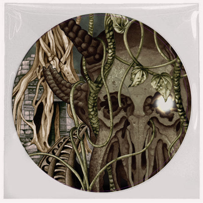 DARKEST HOUR 'GODLESS PROPHETS AND MIGRANT FLORA' PICTURE DISC