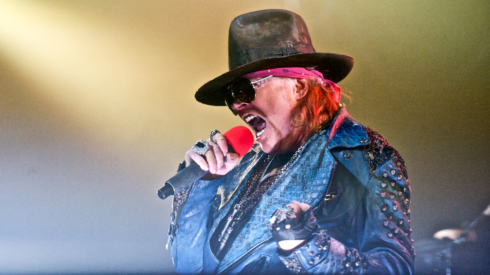 Axl Rose Feuds With Treasury Secretary Steven Mnuchin on Twitter