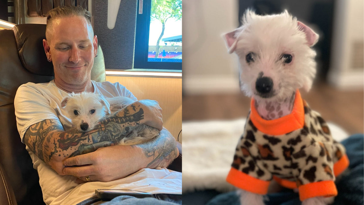 Slipknot’s Corey Taylor Adopts New Puppy