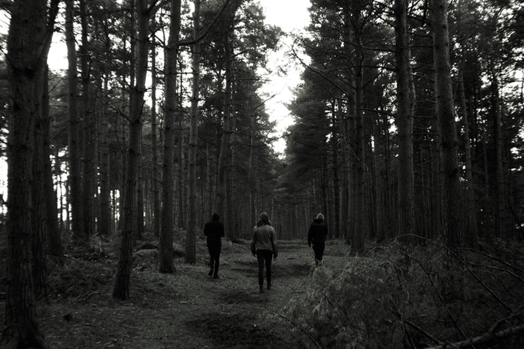Meet Dawn Ray’d: Expanding Black Metal With Anarchist Politics and Violin