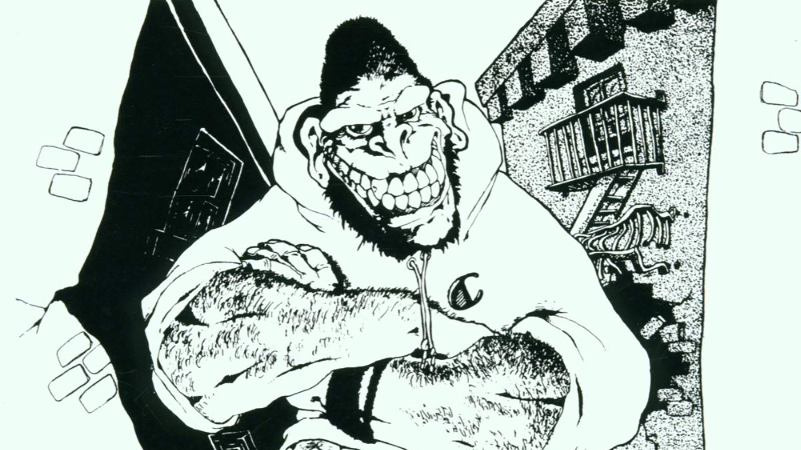 White Whale Vinyl: Gorilla Biscuits’ Expensive Mistakes