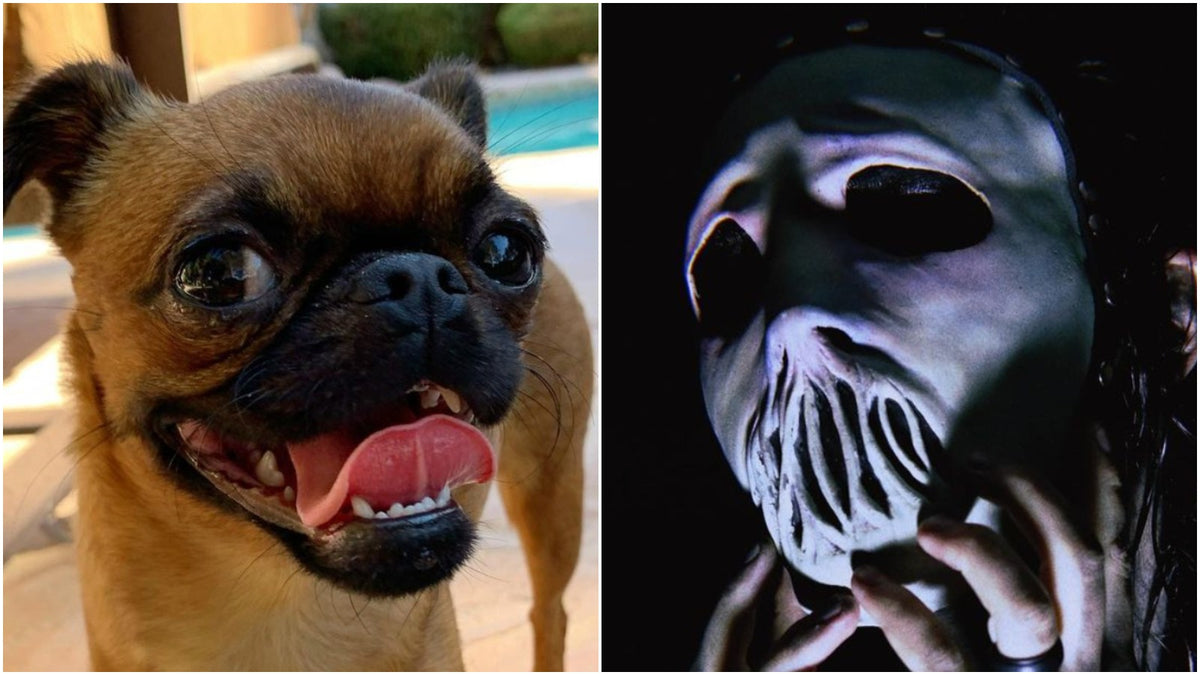 See Jay Weinberg’s Dog React to New Slipknot Mask