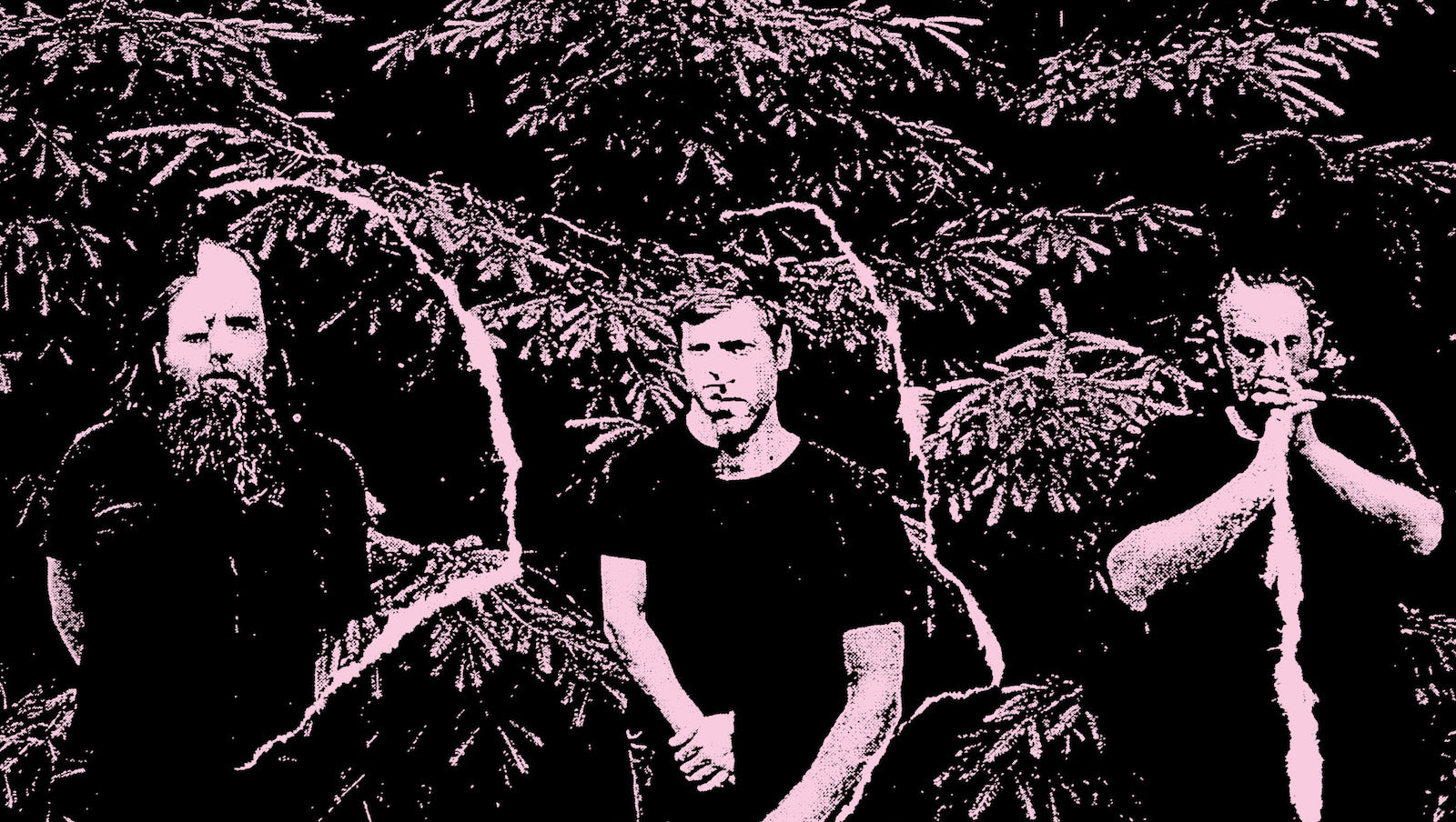 Hear Raspberry Bulbs’ Snarling, Primitive Punk on New Song “Doggerel”