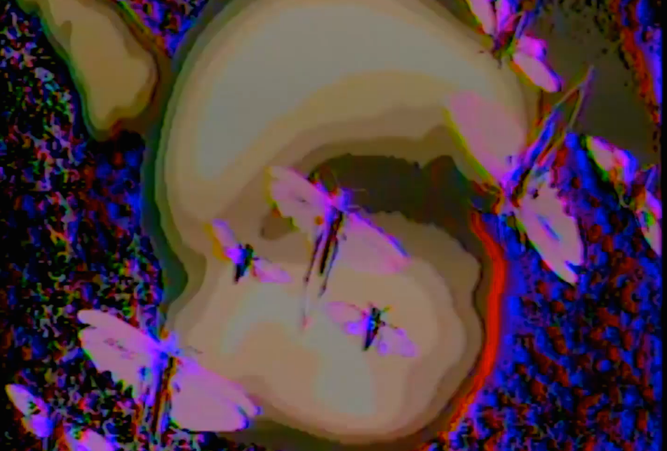 See Mammoth Grinder’s Trippy, Insect-Swarmed “Locust’s Nest” Video