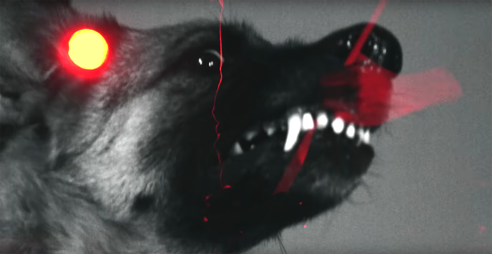 Hear Greyhaven Channel Every Time I Die on Punishing New Song “Ten Dogs — Red Heaven”