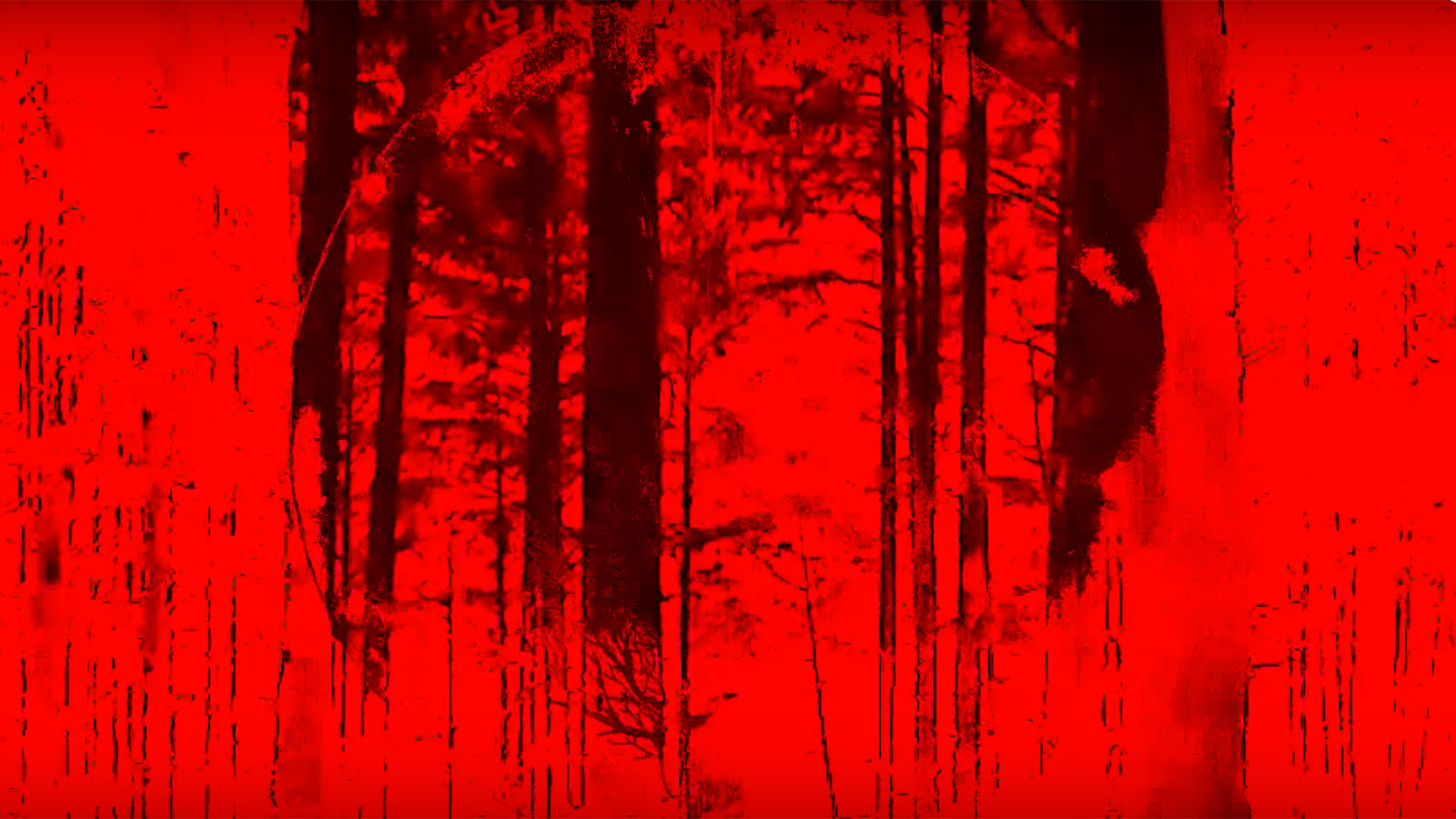 Take an Epic Psychedelic Trip With Doom Band Fórn’s Insane New Two-Song Video