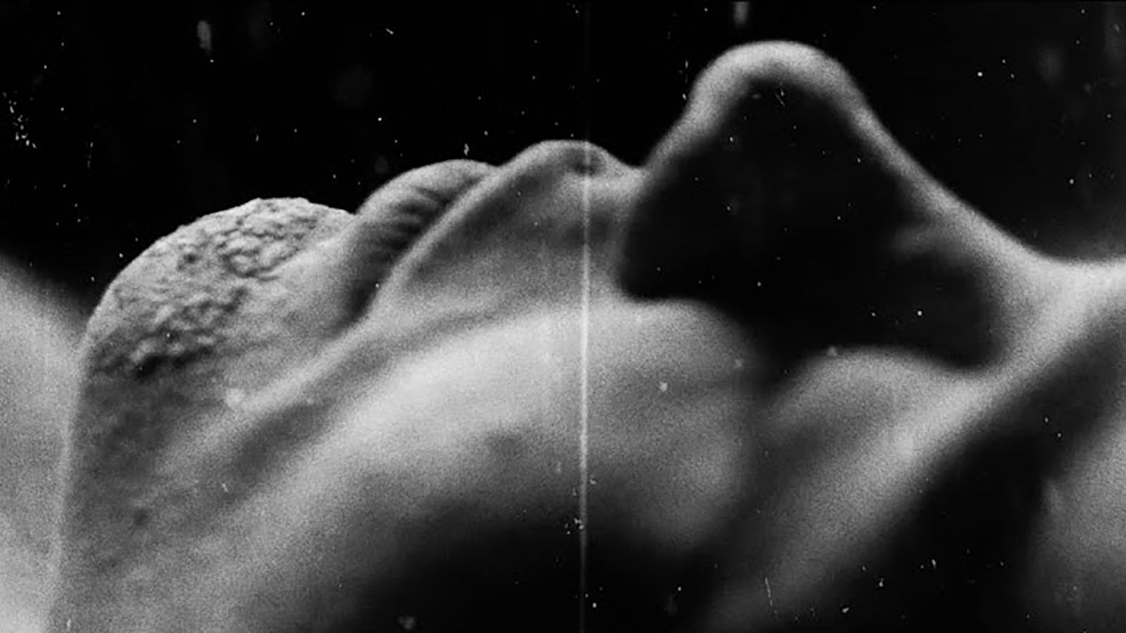 See Umbra Vitae’s Stark, Moody New “Mantra of Madness” Video
