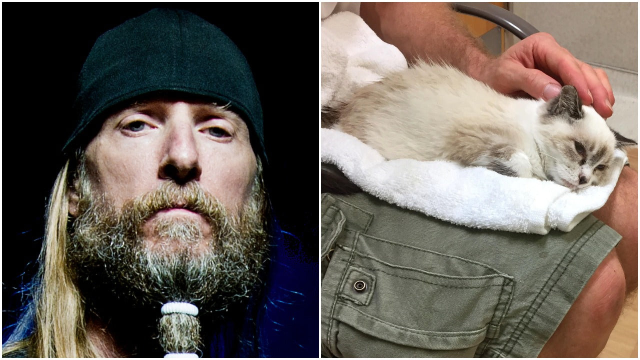 Obituary Drummer Braves Hurricane Irma’s Wrath to Save Injured Kitten