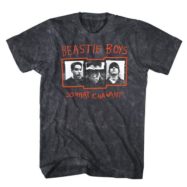 BEASTIE BOYS 