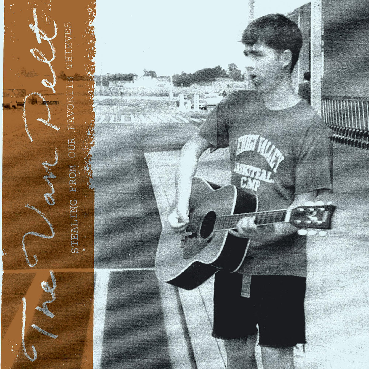 THE VAN PELT 'STEALING FROM OUR FAVORITE THIEVES' LP (Limited Edition, Beer Vinyl)