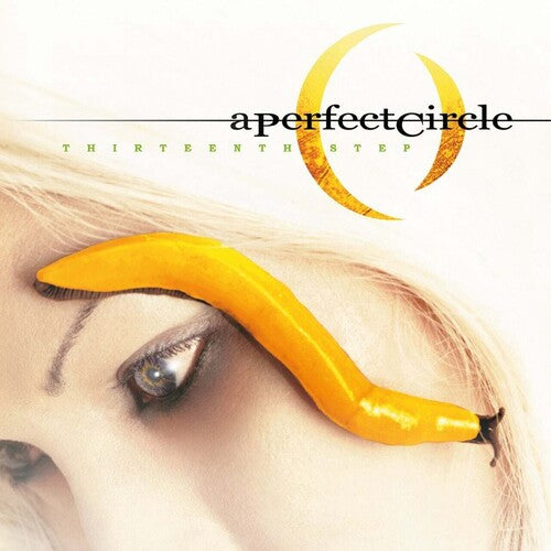 A PERFECT CIRCLE 'THIRTEENTH STEP' 2LP