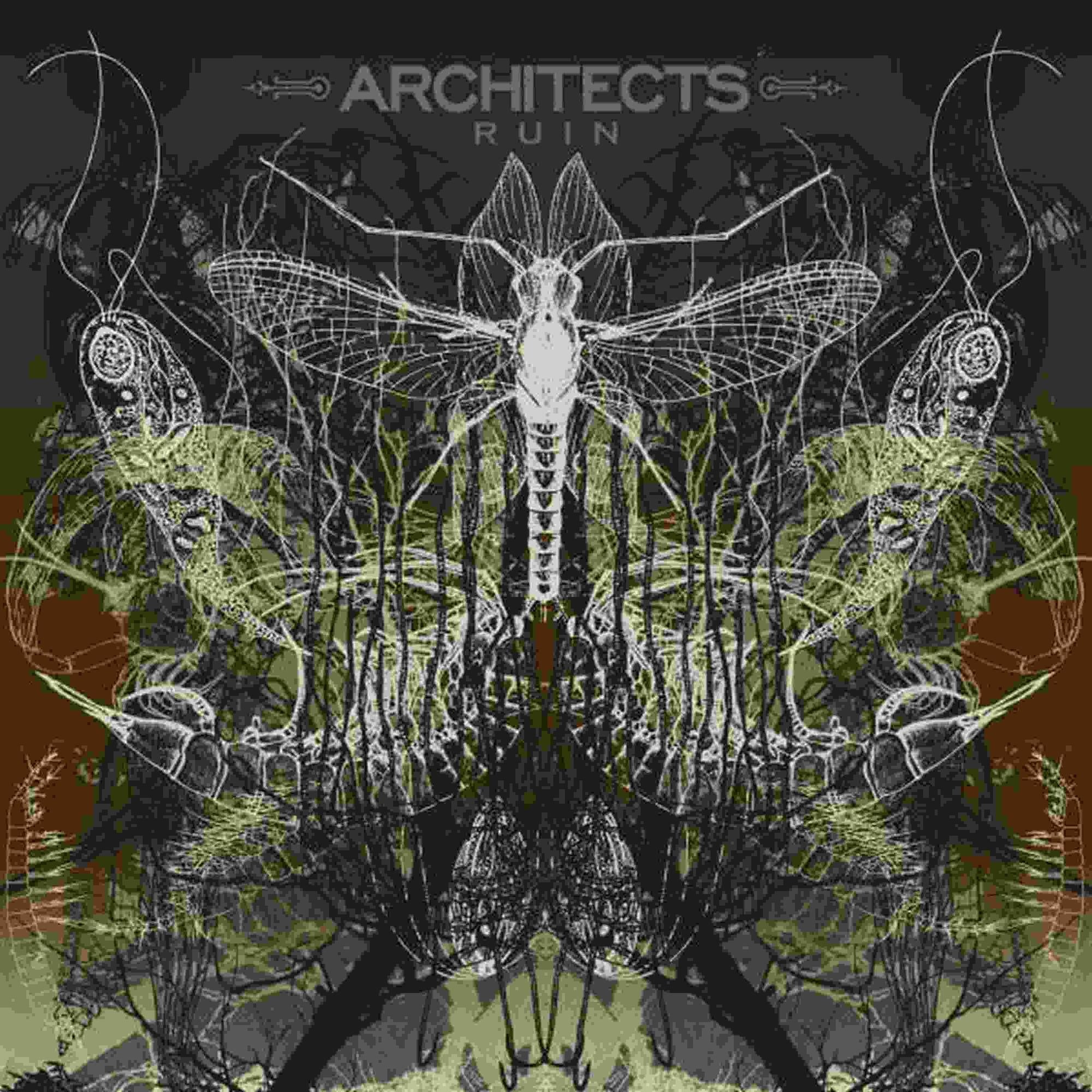 ARCHITECTS ‘RUIN' LP