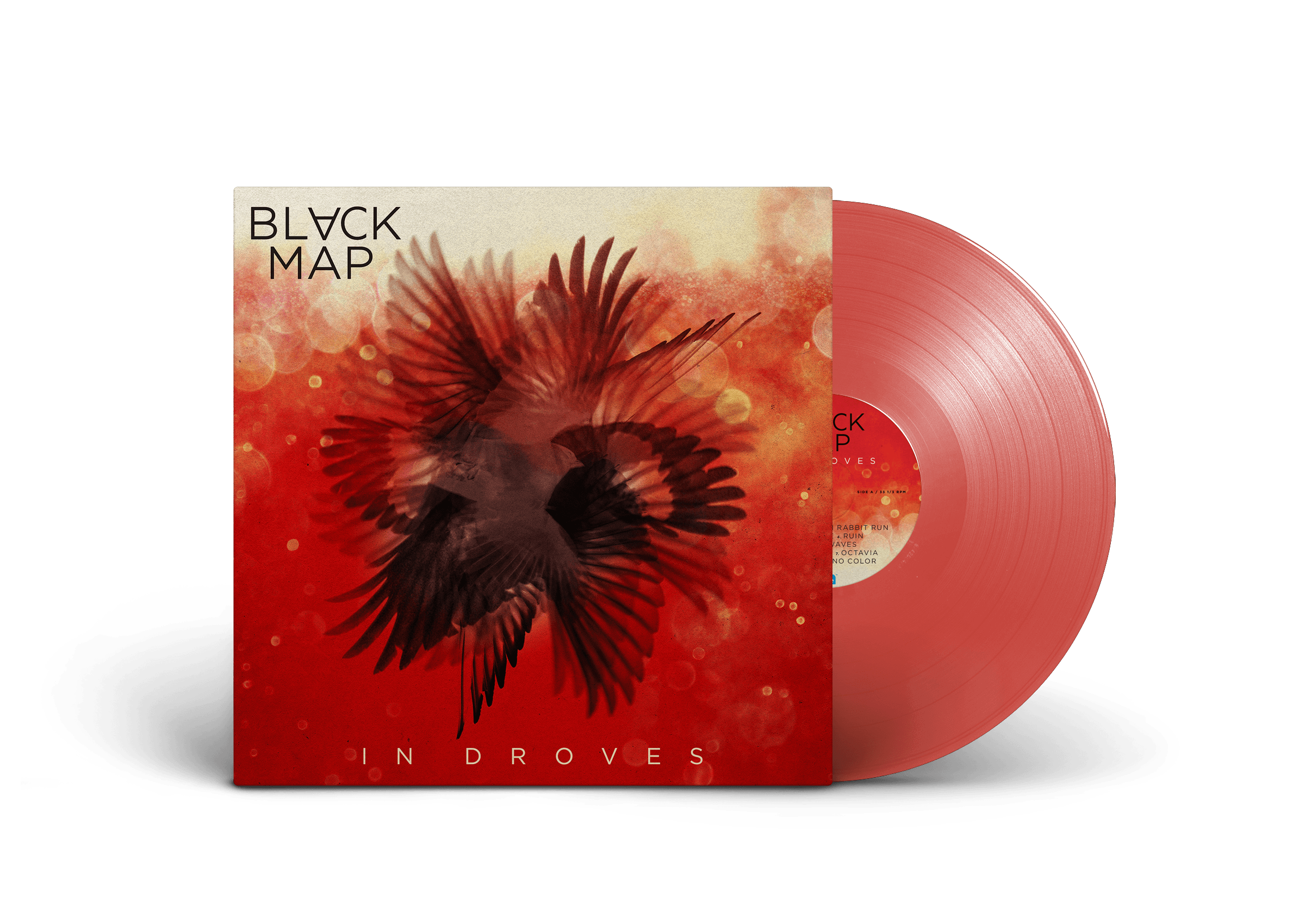 BLACK MAP 'IN DROVES' LP (Red Vinyl)