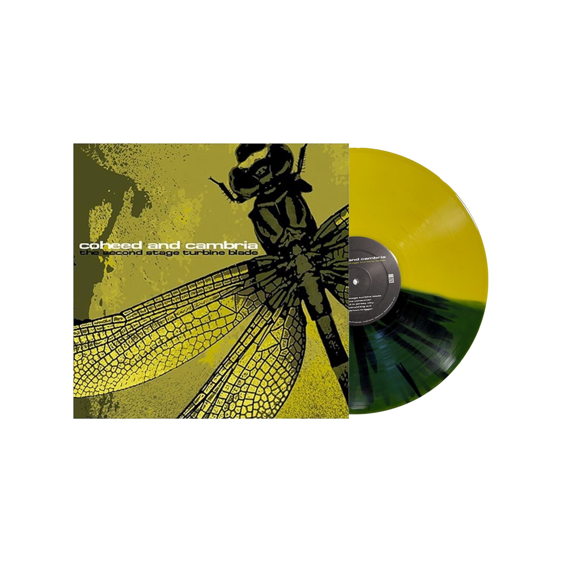 洋楽 Decollation/cursed land 洋楽 Decollation/cursed land 洋楽 Decollation/cursed land 洋楽 Decollation/cursed land