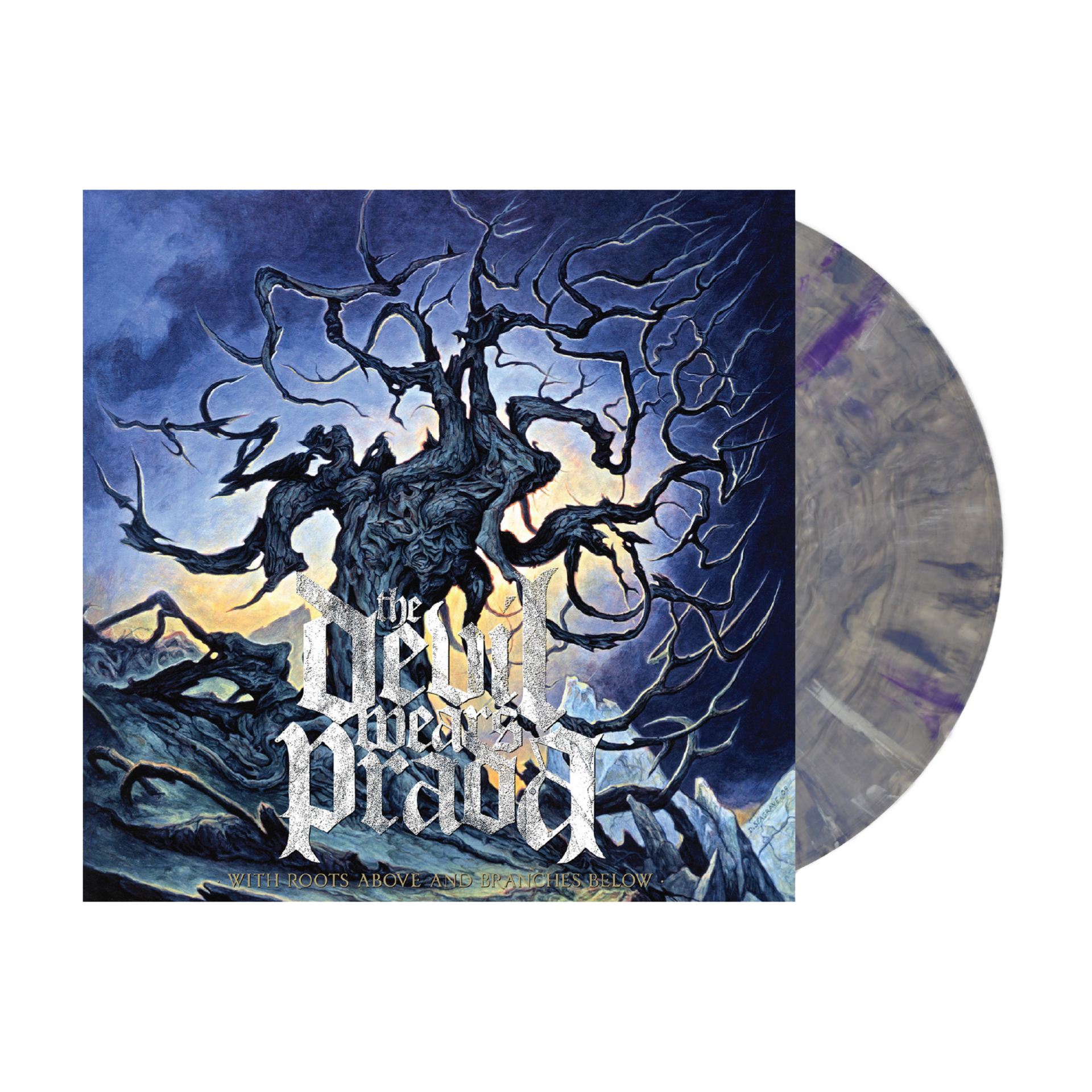 TDWP_roots.png?v=1770327382&