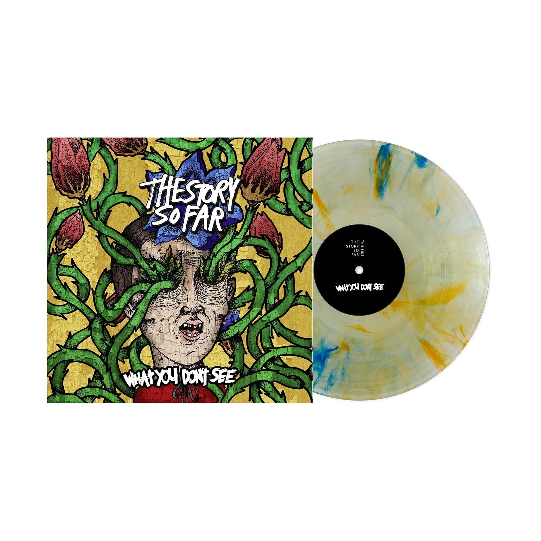 The Story So Far What You Dont See Tide Pods Marble Vinyl