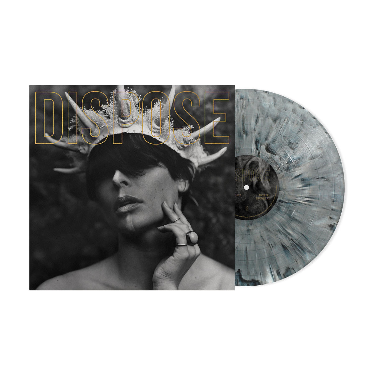 THE PLOT IN YOU 'DISPOSE' GOLD EDITION LP (Limited Edition – Only 300