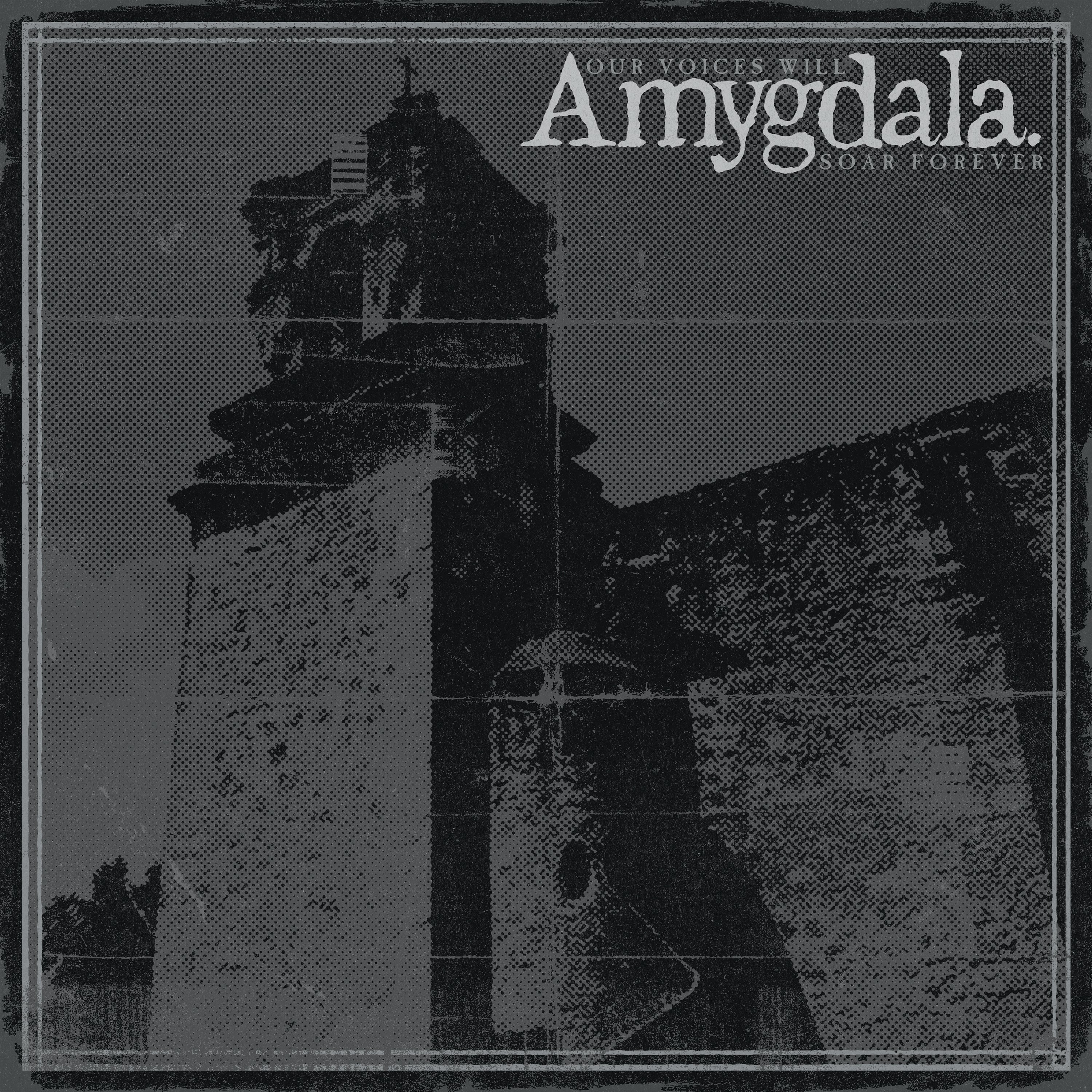 AMYGDALA 'OUR VOICES WILL SOAR FOREVER' CD