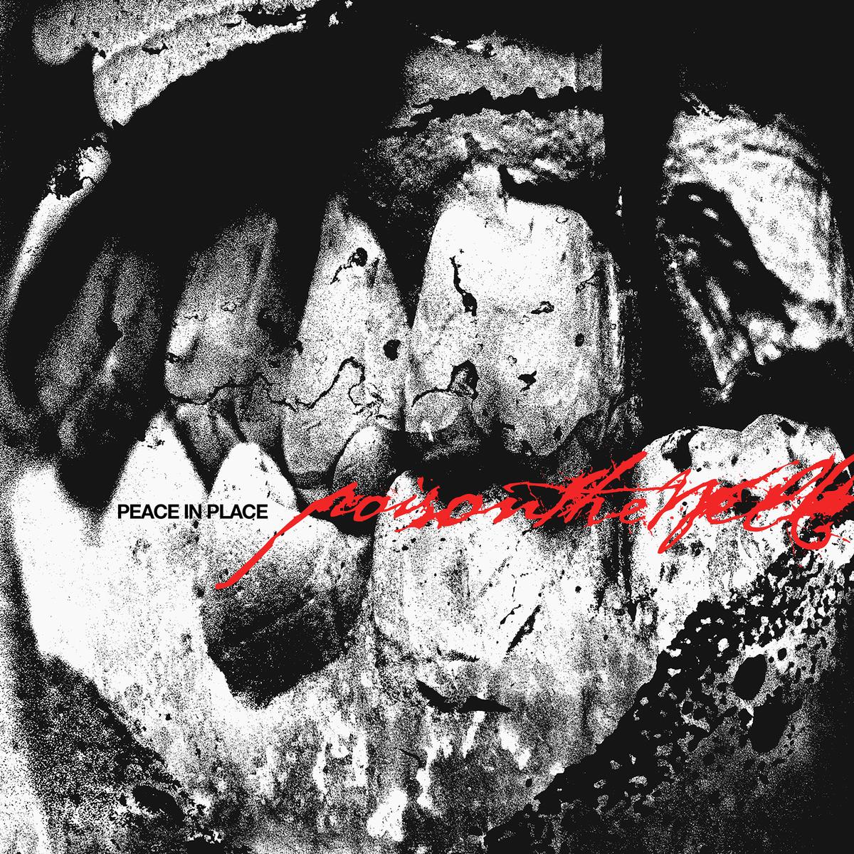 POISON THE WELL ‘PEACE IN PLACE’ CD