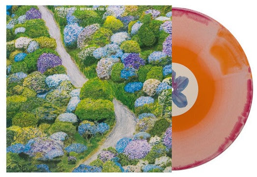 FIDDLEHEAD 'BETWEEN THE RICHNESS' LP (Orange, Red, & Cream Swirl Vinyl)