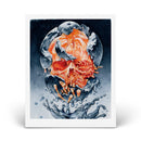JOHN DYER BAIZLEY - BARONESS PRINT - ONLY 250 AVAILABLE!
