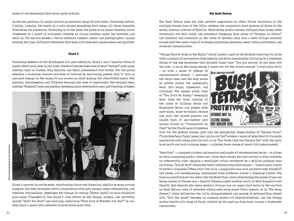 PUNK WOMEN: 40 YEARS OF MUSICIANS WHO BUILT PUNK ROCK BOOK