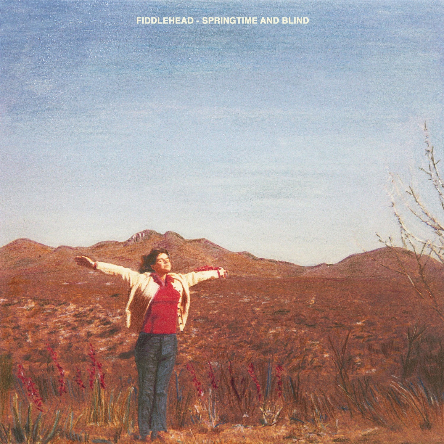 FIDDLEHEAD 'SPRINGTIME AND BLIND' LP (Clear & Mustard Pinwheel Vinyl)