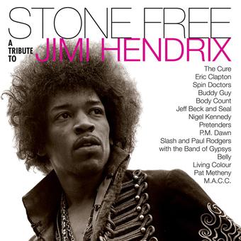 JIMI HENDRIX 'STONE FREE: JIMMY HENDRIX TRIBUTE' LP (Clear & Black Vinyl)