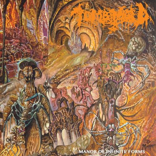 TOMB MOLD 'MANOR OF INFINITE FORMS' NEON ORANGE BLACK SMOKE LP