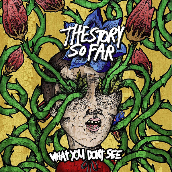 THE STORY SO FAR 'WHAT YOU DON'T SEE' LP